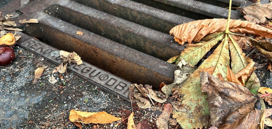 Sinkkasten mit Herbstlaub